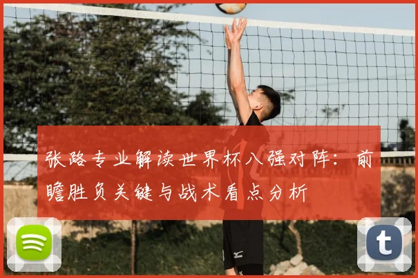 张路专业解读世界杯八强对阵:前瞻胜负关键与战术看点分析